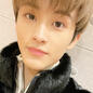 mark